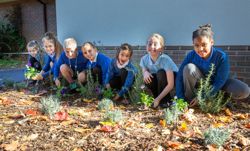 pupils are smiling and planting flowers 